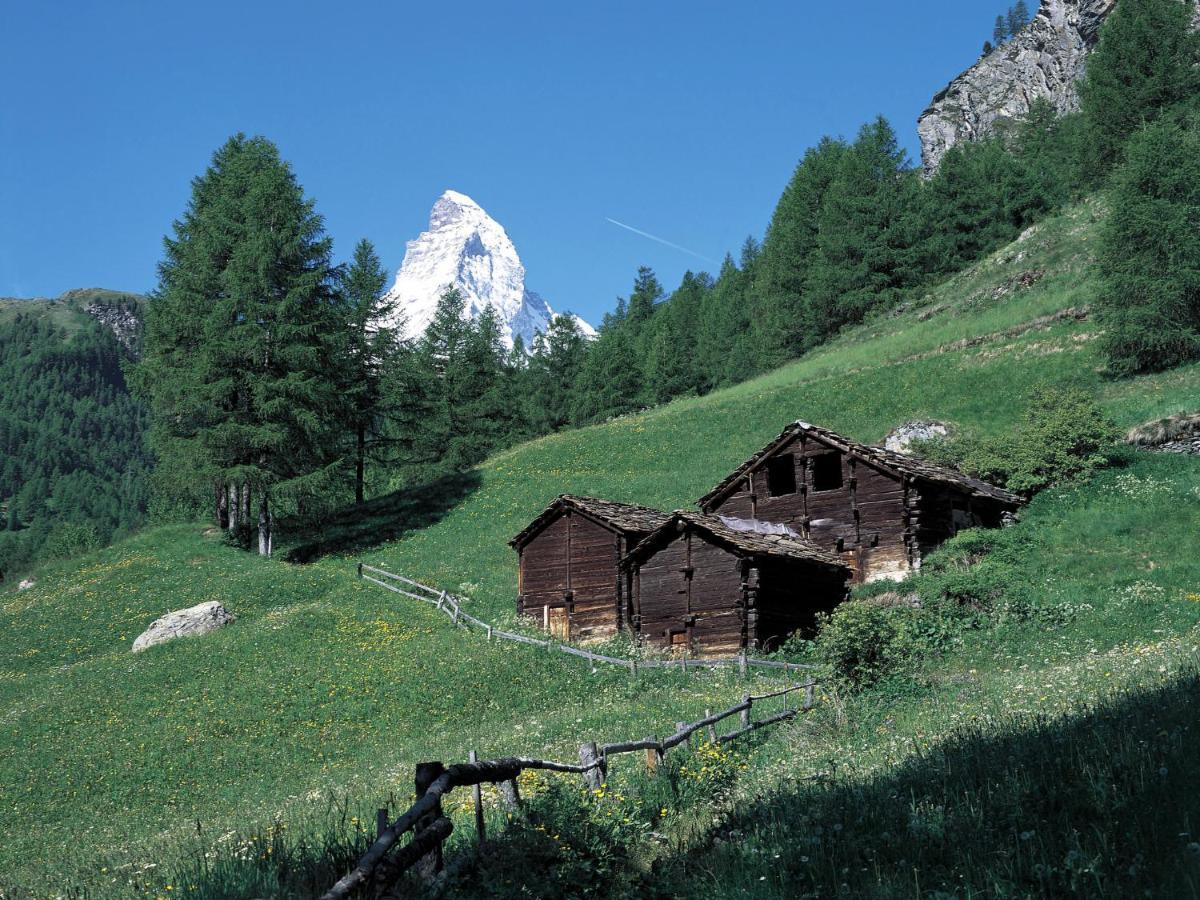 Apartment Oasis By Interhome Zermatt Exterior foto
