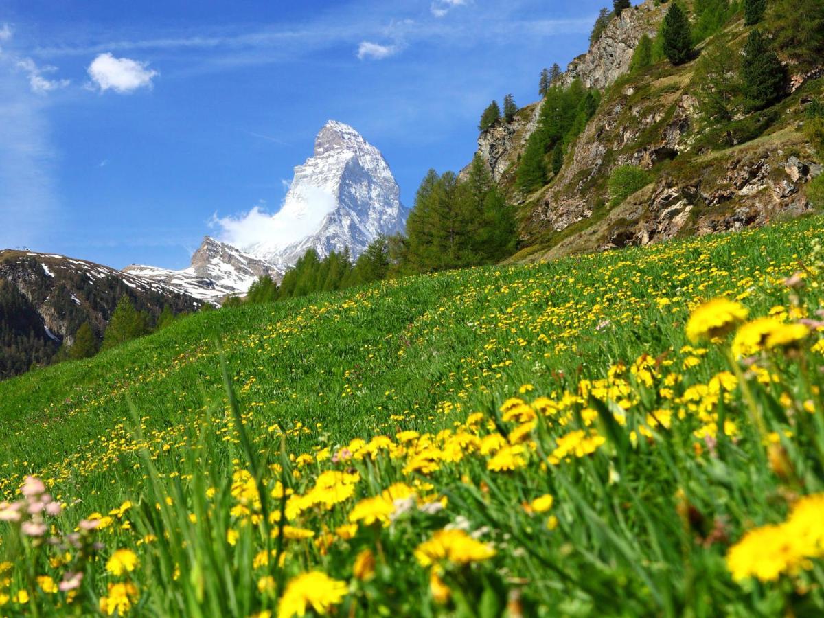 Apartment Oasis By Interhome Zermatt Exterior foto
